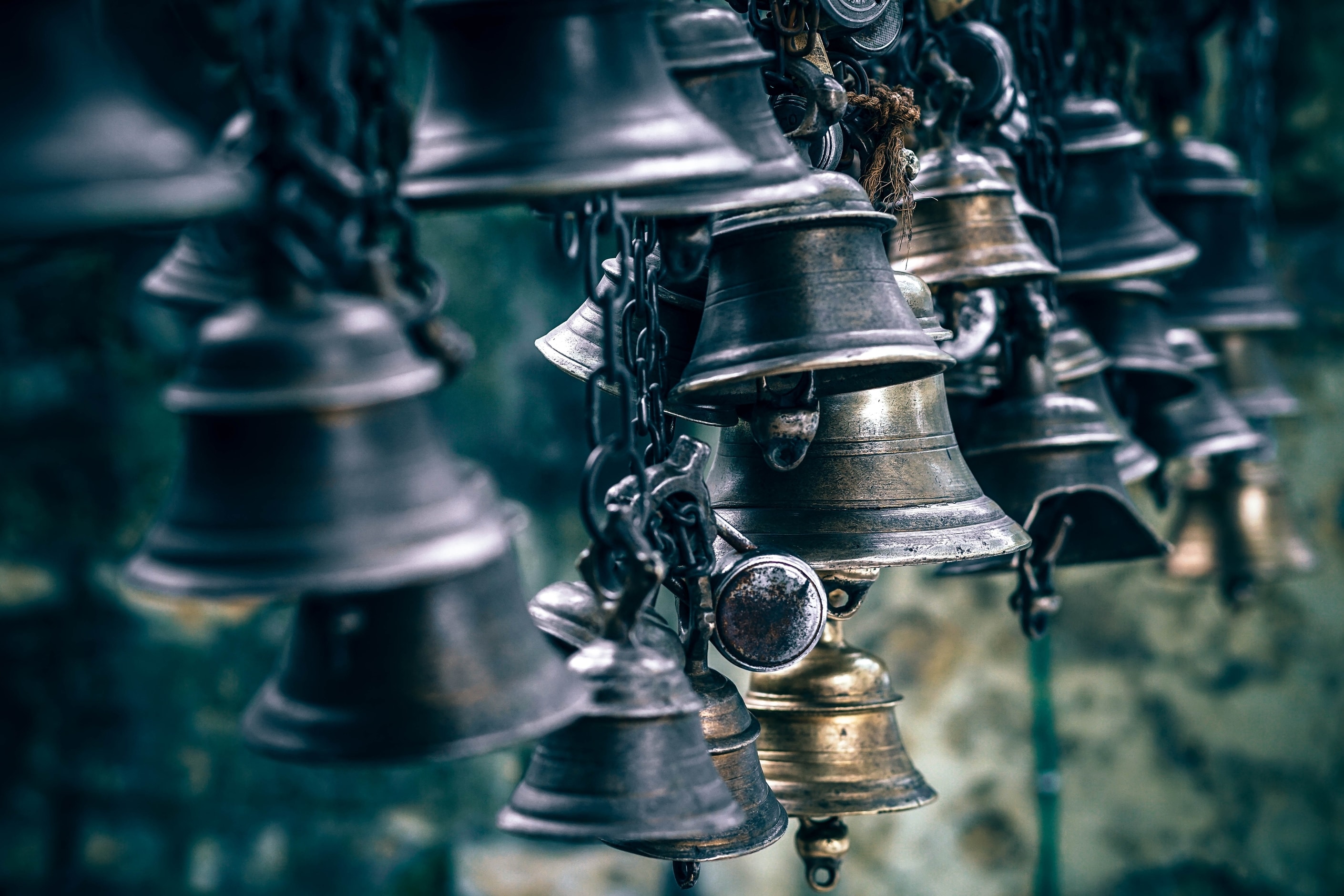 fancycrave-194878-unsplash(1)