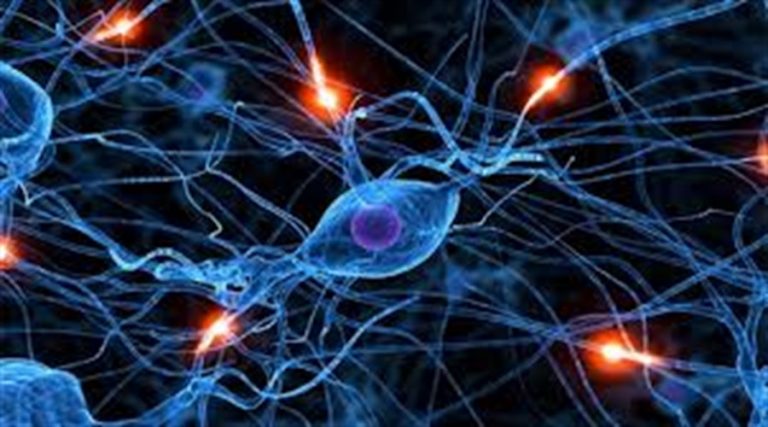 Yapay Sinir Ağı(Artificial Neural Network) Nedir?
