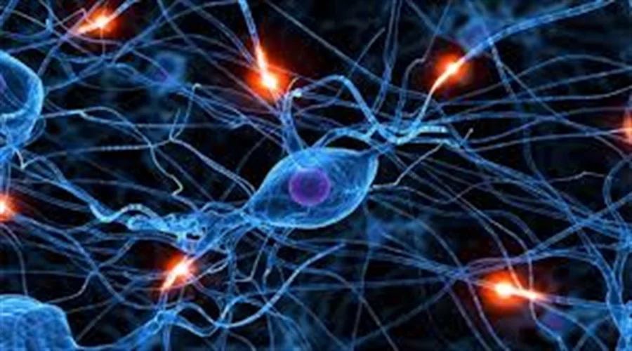 Yapay Sinir Ağı(Artificial Neural Network) Nedir?