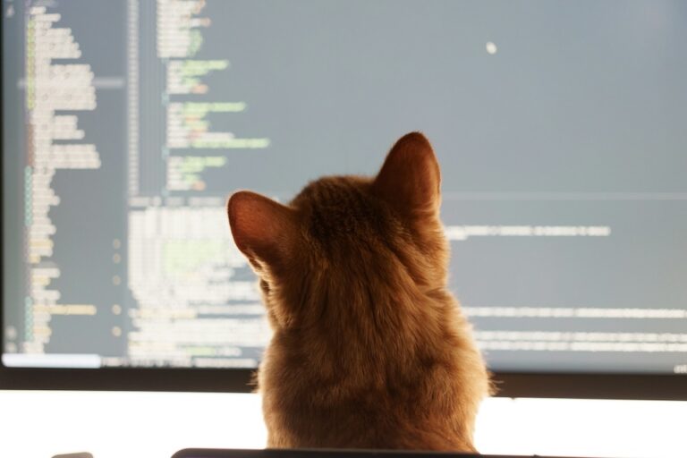 ML ve AI için Python Öğrenme Yol Haritası